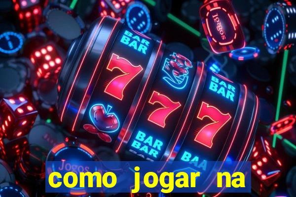 como jogar na lotinha do jogo do bicho